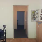 Cosy Apartment In The City